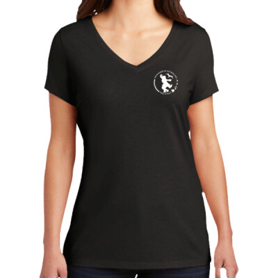 Ladies Triblend V-Neck Tee Thumbnail